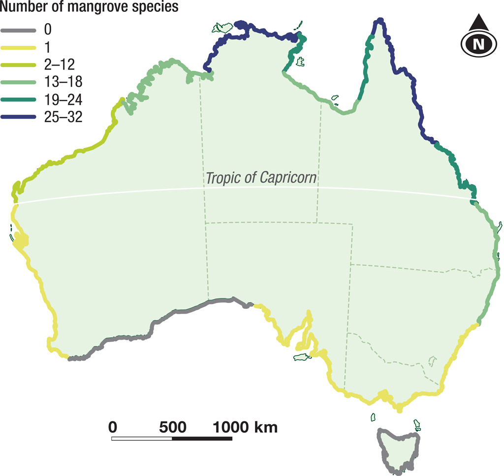 Source 2.25 Australia’s mangrove communities