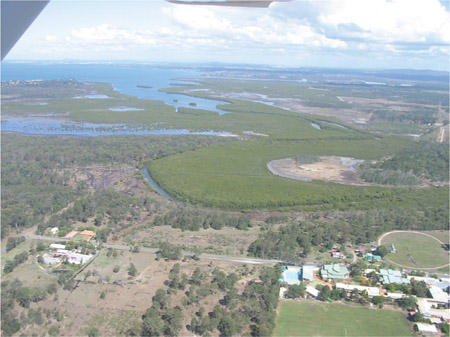 Source 2.26 Mangrove community at Hays Inlet, off Moreton Bay, Queensland