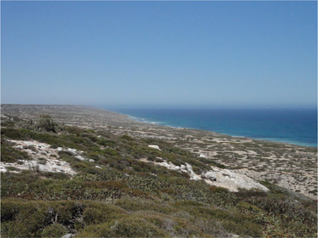 Source 2.27 The Great Australian Bight, where sand dunes and limestone cliffs face the relentless swells of the Southern Ocean and no mangroves are found