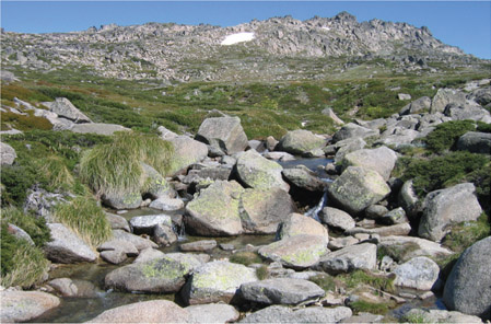 Source 2.18 Looking towards the summit of Mt Kosciuszko in summer