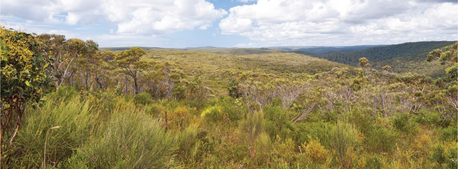 Source 3.24 Royal National Park, New South Wales, Australia