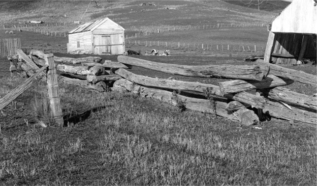 Source 4.6 An early style of chock and log fence in Tasmania