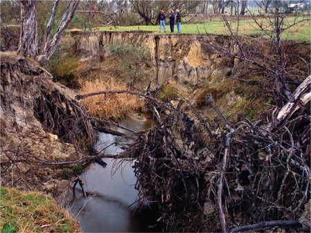 Source 4.16 Severe stream bank erosion along Castle Creek near Euroa, northeast Victoria