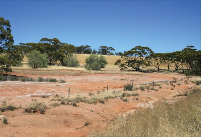 Source 4.19 Salinity in the wheat belt of Western Australia is affecting grain production; this salinity is expected to increase.