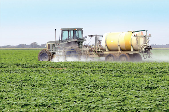 Source 4.21 A farmer spraying herbicide in a paddock of the previous year’s wheat stubble to suppress weed growth prior to reseeding