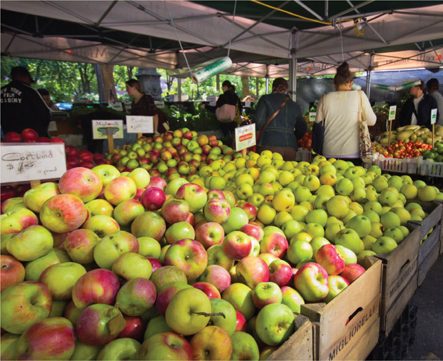 Source 4.41 Local produce on display at a farmers’ market