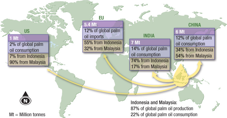 Source 7.13 Major trade flows of palm oil