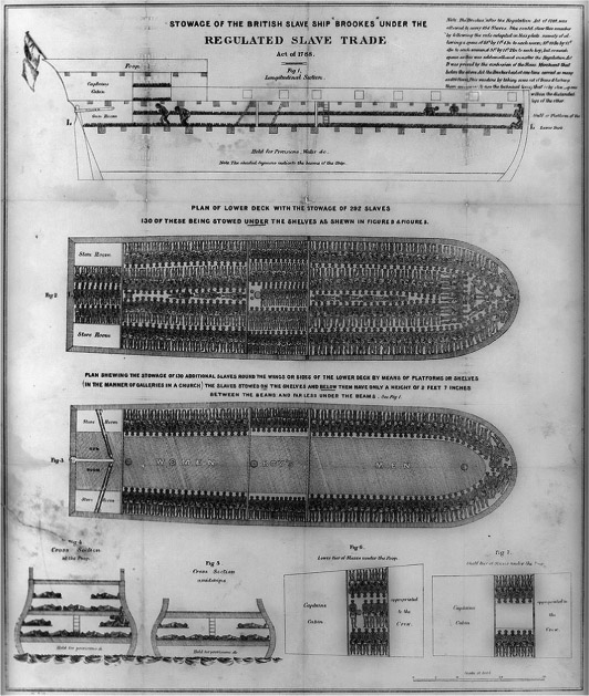 Source 12.4 Slaves tightly crowded in a late-eighteenth-century slave ship